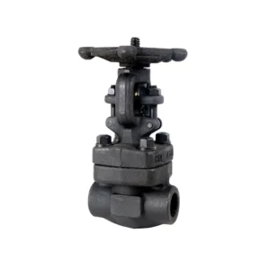 Forged Steel Threaded Globe Valve