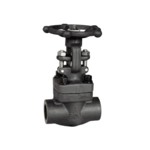 Socket Weld Forged Steel Globe Valve