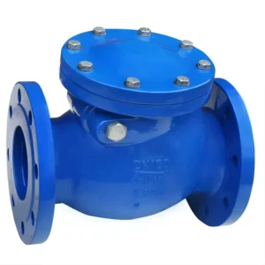 XYoe Ductile Iron Flanged Swing Check Valve