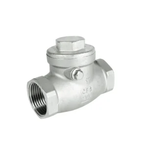 XYoe Stainless Steel Threaded Swing Check Valve